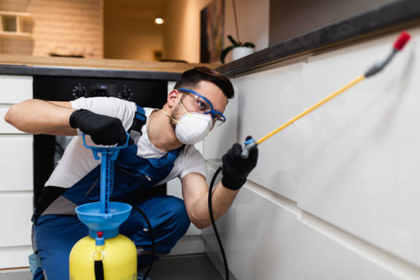 Best Residential Pest Control  in Sargent, TX