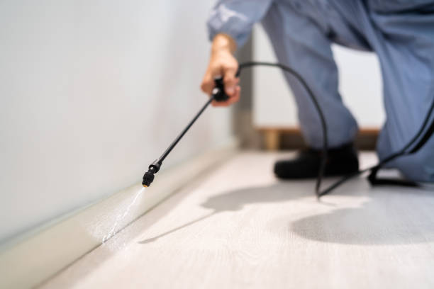 Best Local Pest Control Services  in Sargent, TX
