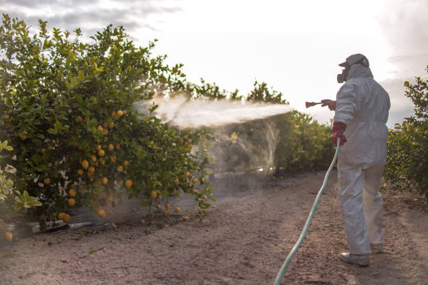 Best Residential Pest Control  in Sargent, TX