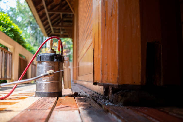 Best Pest Prevention Services  in Sargent, TX