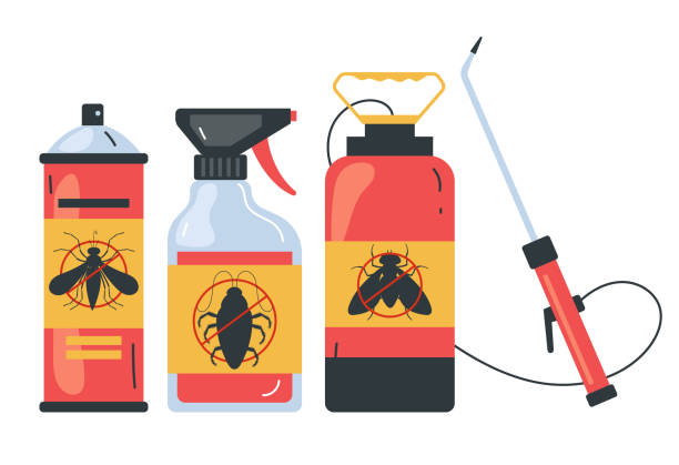 Best Spider Control Near Me  in Sargent, TX